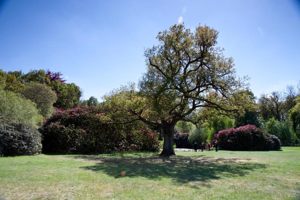 Petwood Hotel Woodhall Spa Eksteriør bilde